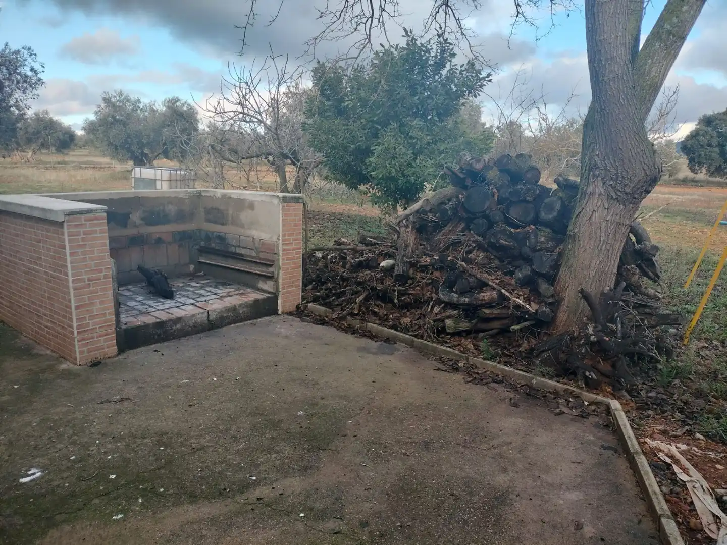 Finca rústica en venta en Argamasilla de Calatrava