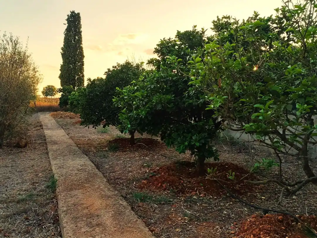 Country house with pool for sale in diseminados, poligono 7 30, imagen 22