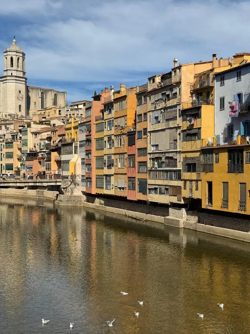 Exterior view of Buildings for sale in Girona