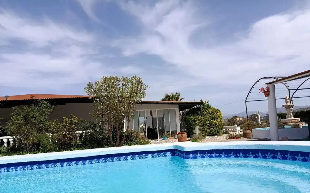 Swimming pool of Flat for sale in Villena