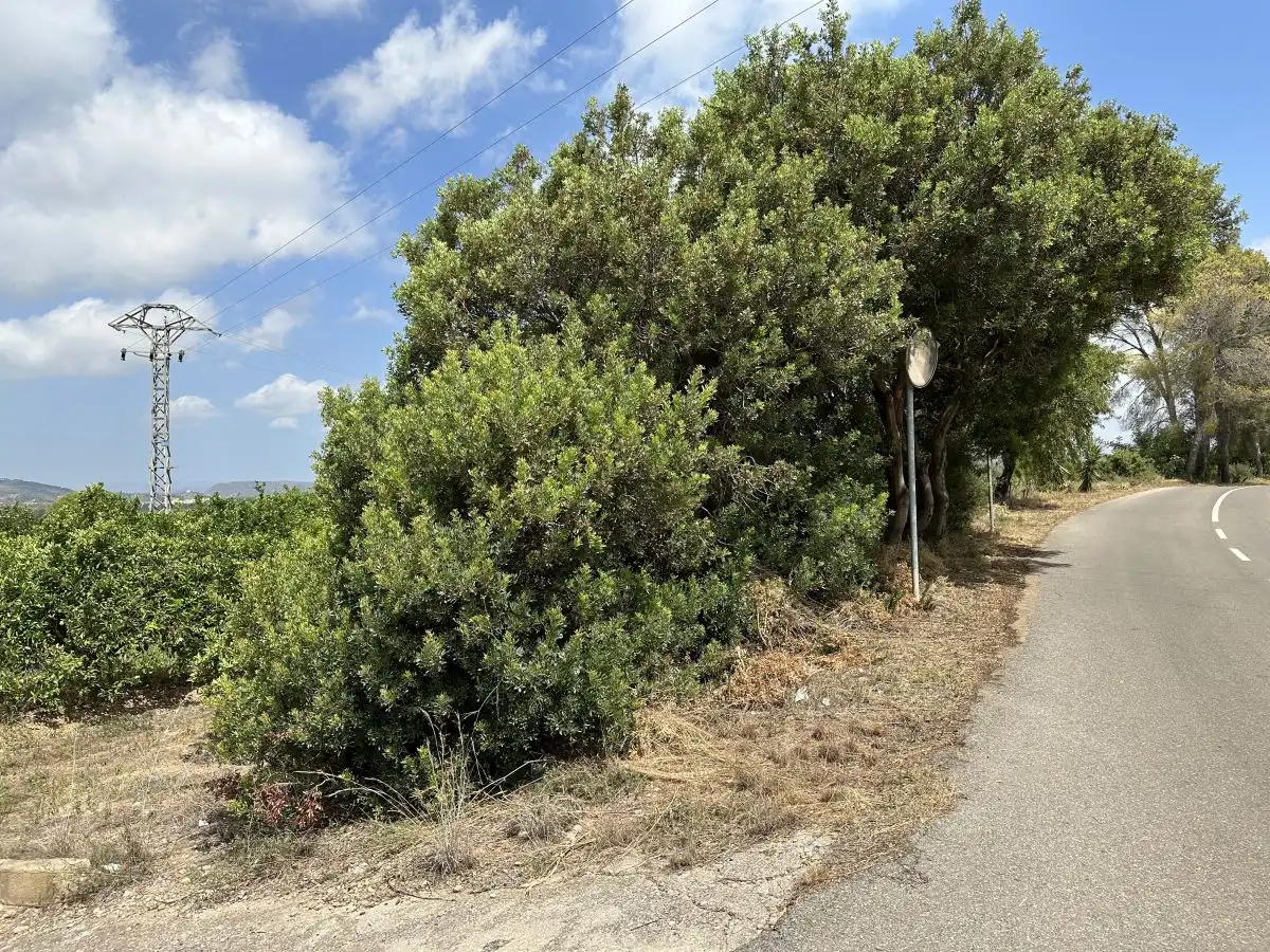 Rural land for sale in Sagunto ciudad, imagen 15