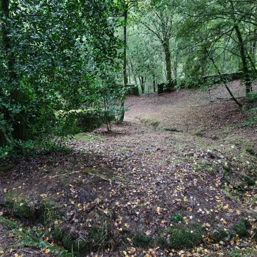 Land for sale in Cotobade