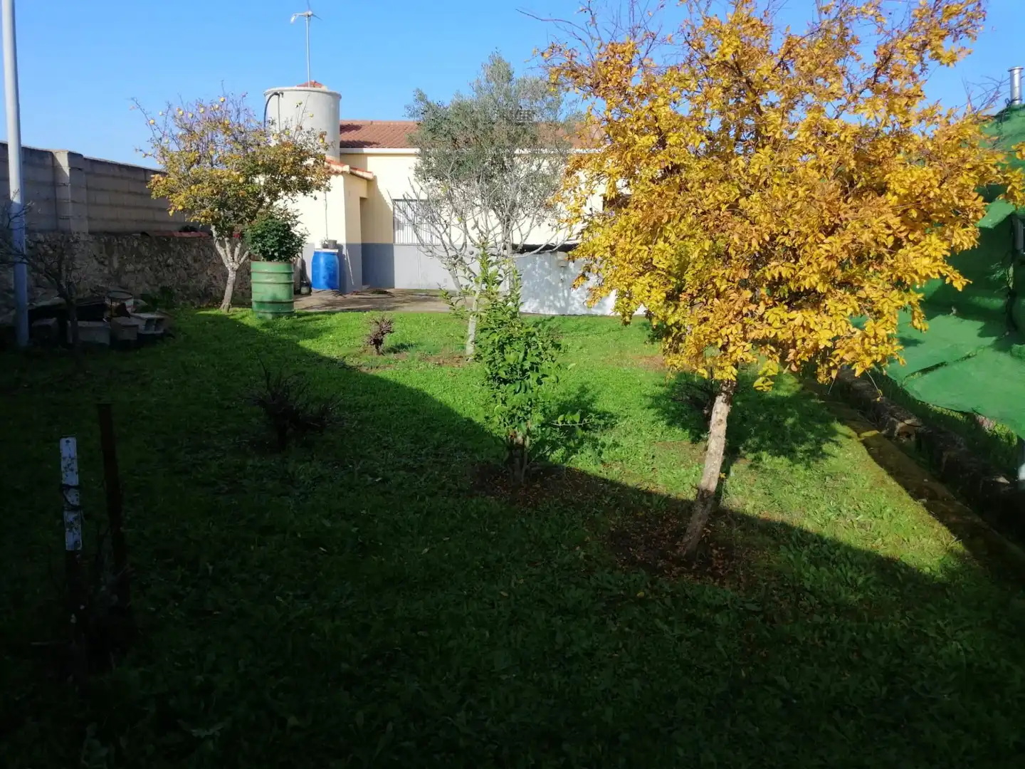 Jardín de Casa o chalet en venta en Torremocha con Trastero y Piscina