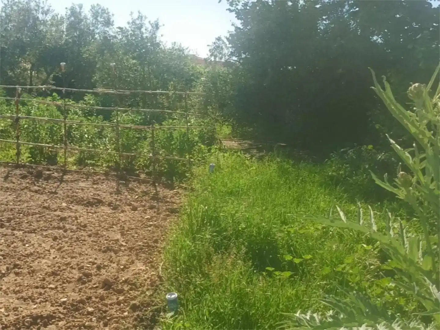 Piso en venta en Linares con Aire acondicionado