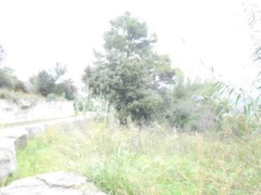 Terreno rustico in vendita a CASTELL DE MONTBUI