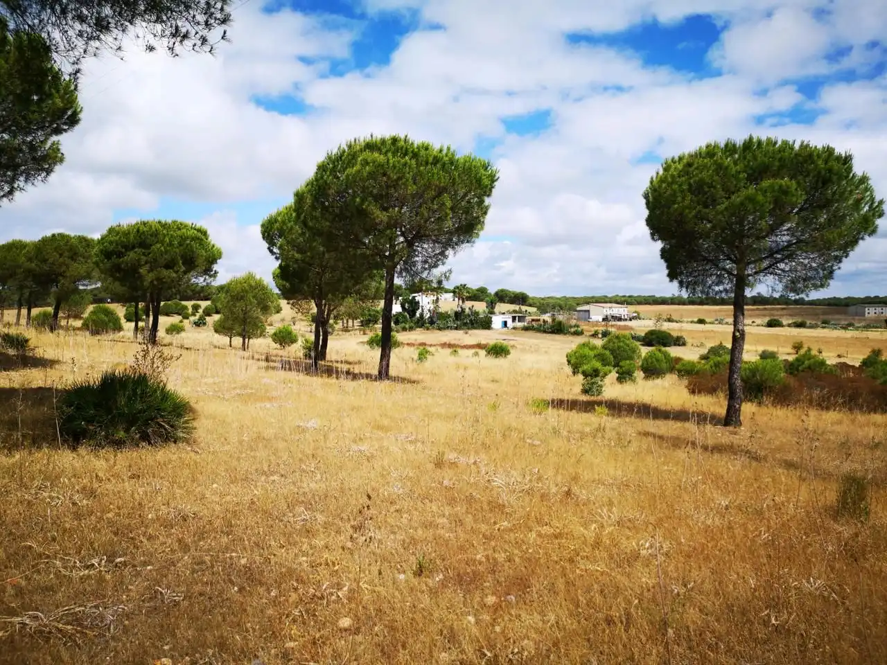 Terreni e lotti in vendita a Dehesa - Monacilla, imagen 9