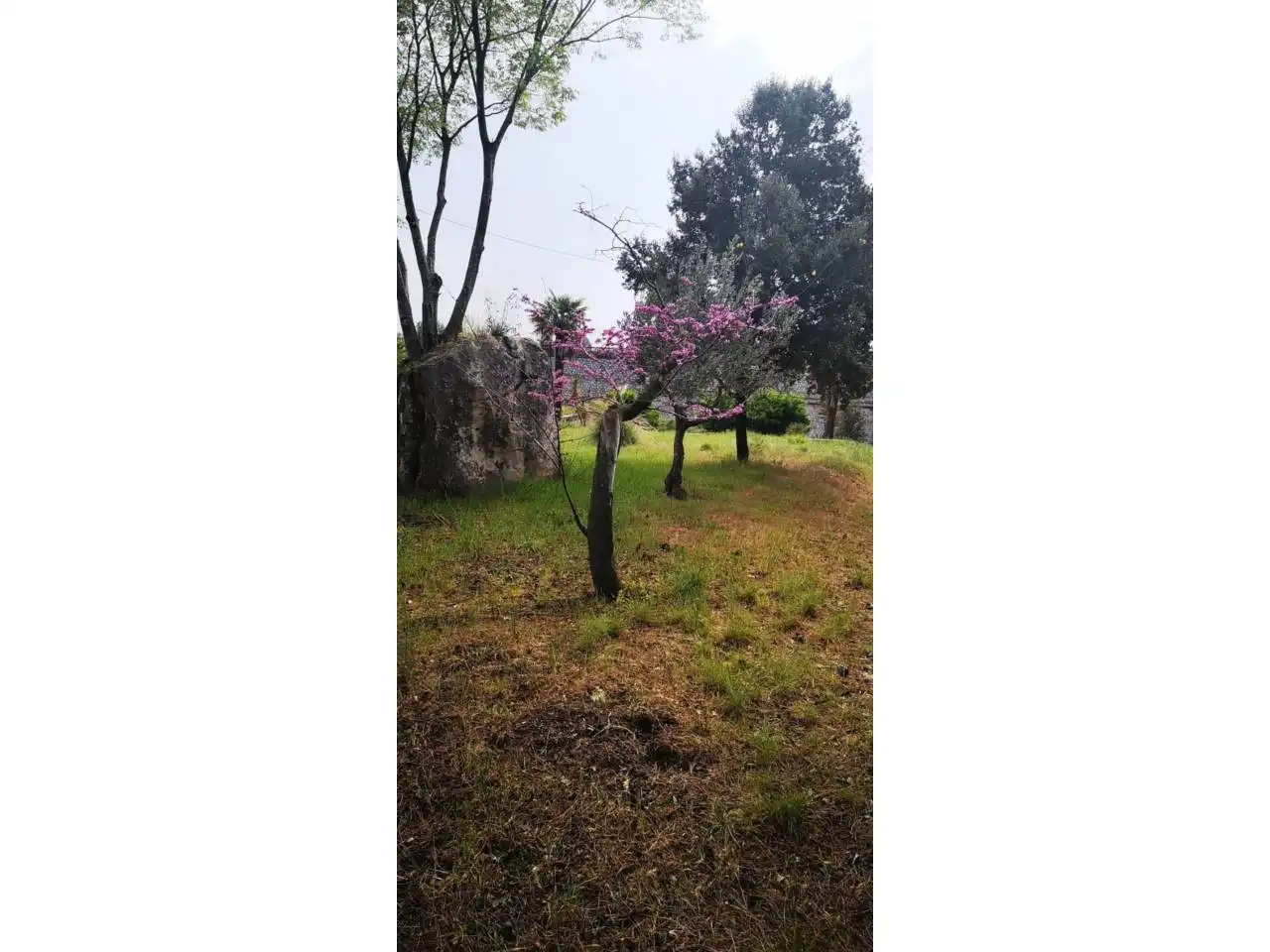 Houses for sale in Manresa  with Private garden and Swimming Pool