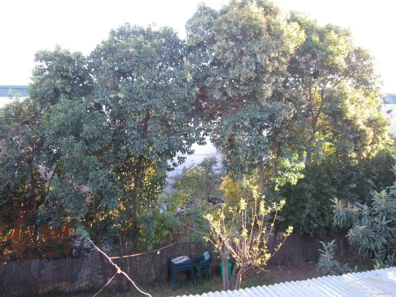 Jardí de Edifici en venda en Lucena