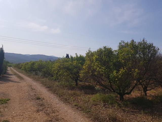 Finca rústica en Venta en La Galera