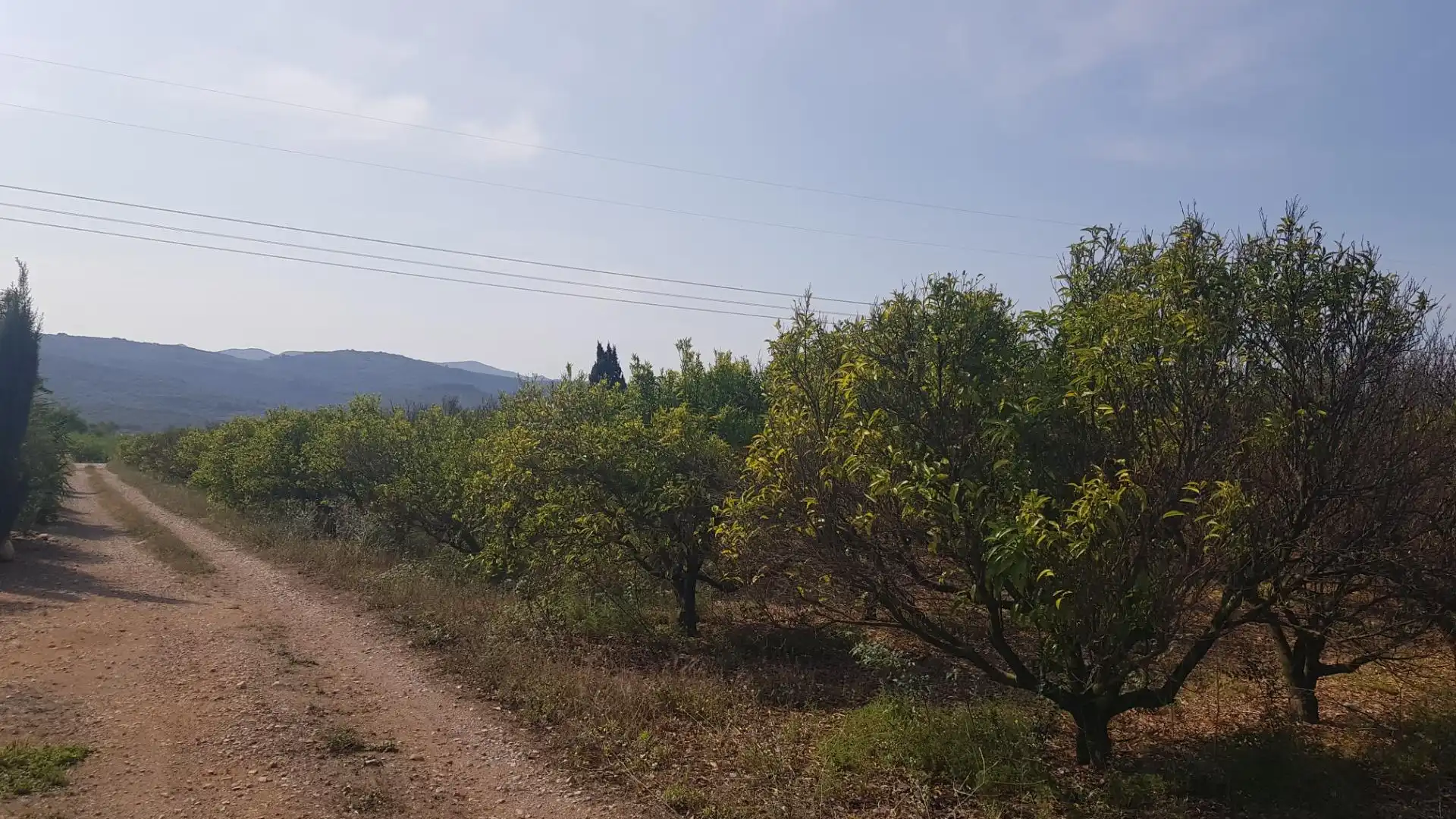 Finca rústica en venta en La Galera 