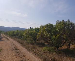 Finca rústica en venda en La Galera 