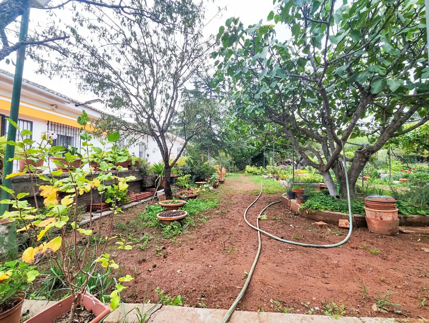Casa o chalet en venta en CM-4110, PAU 2-600