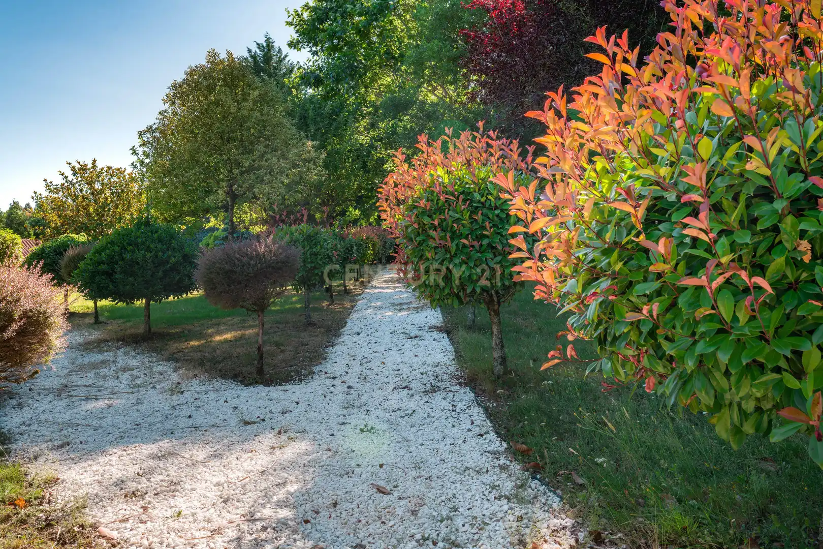 Jardí de Edifici en venda en Frades