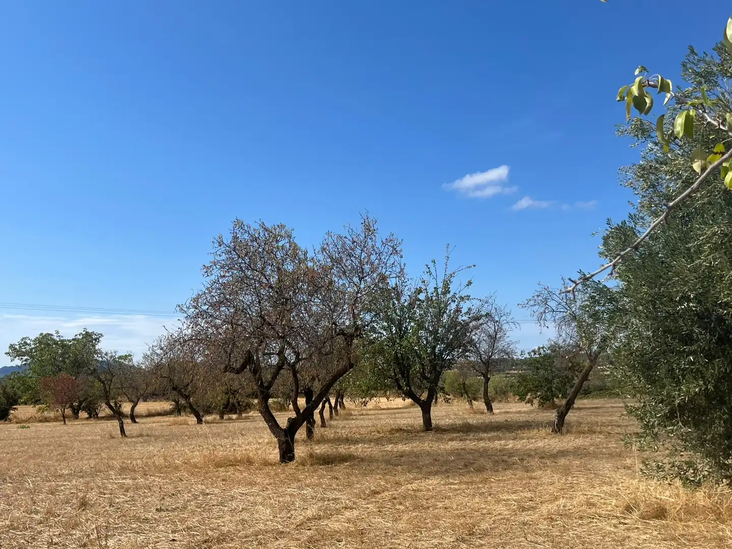 Terreno rustico in vendita a Cretas, imagen 15