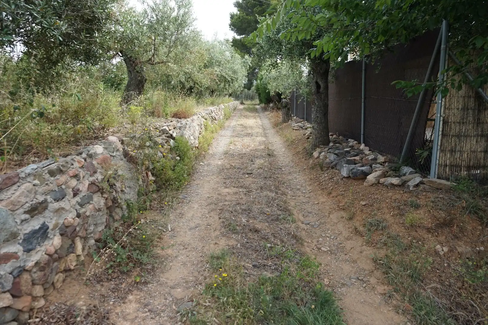 Terreny rústic en venda a Freixa, imagen 15