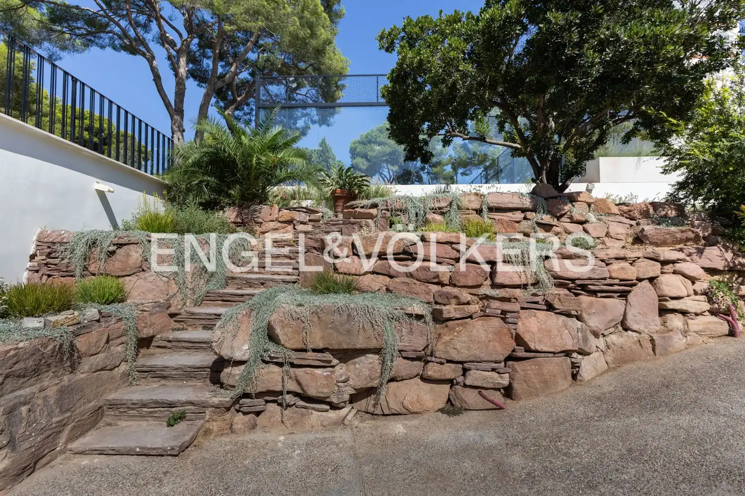 Casa o xalet de lloguer a Avinguda Acàcies, Campolivar