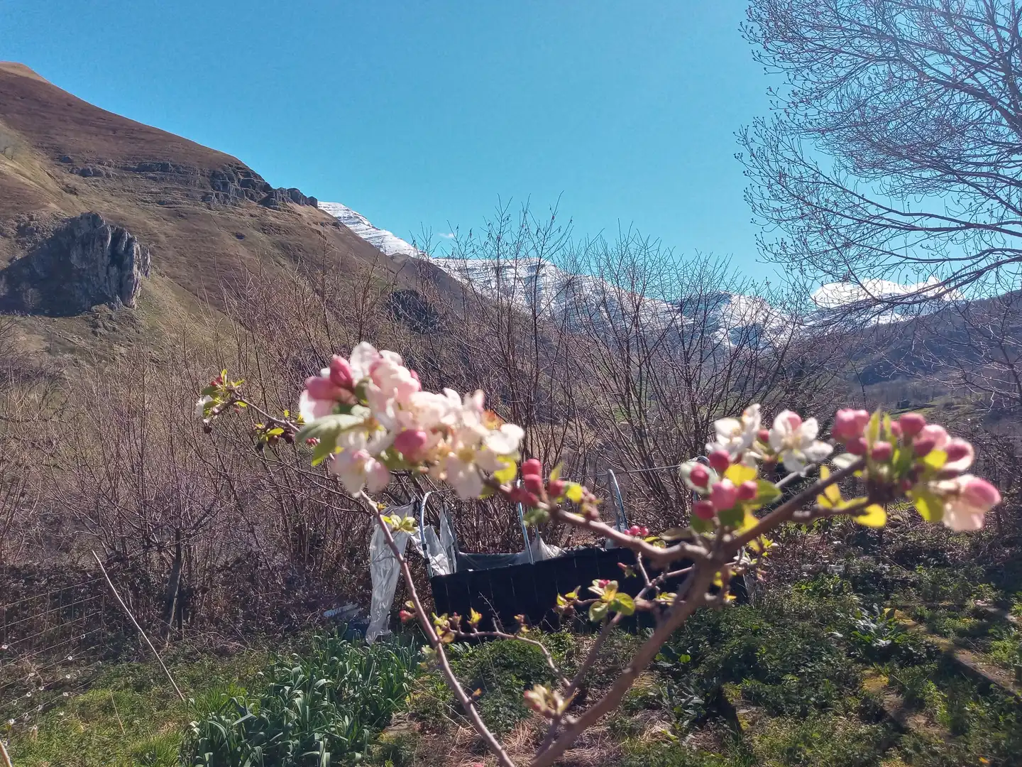 Jardín de Finca rústica en venta en San Roque de Riomiera con Jardín privado