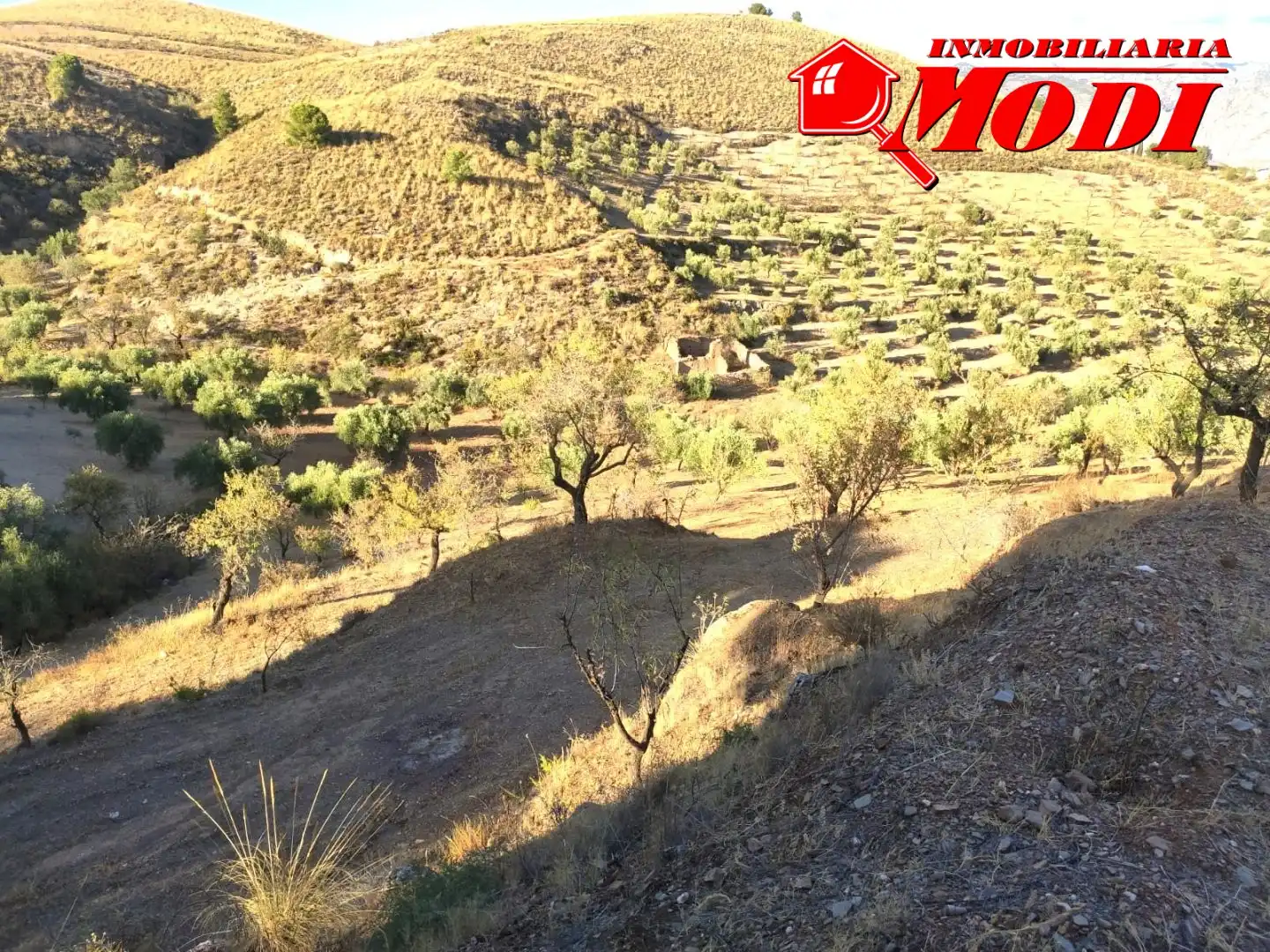 Finca rústica en venda en Villamena amb Jardí privat