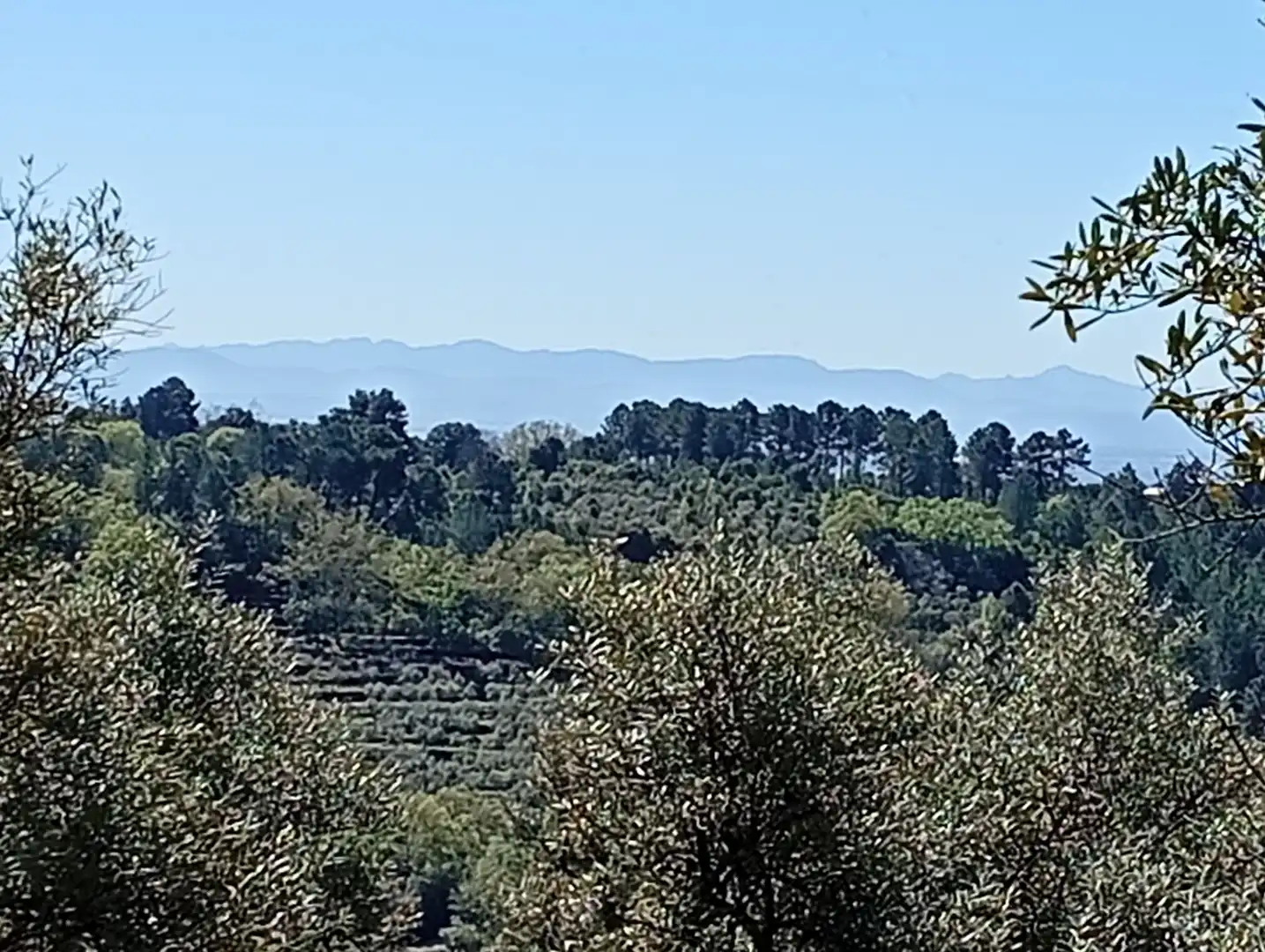 Terreni e lotti in vendita a Valverde de la Vera, imagen 77