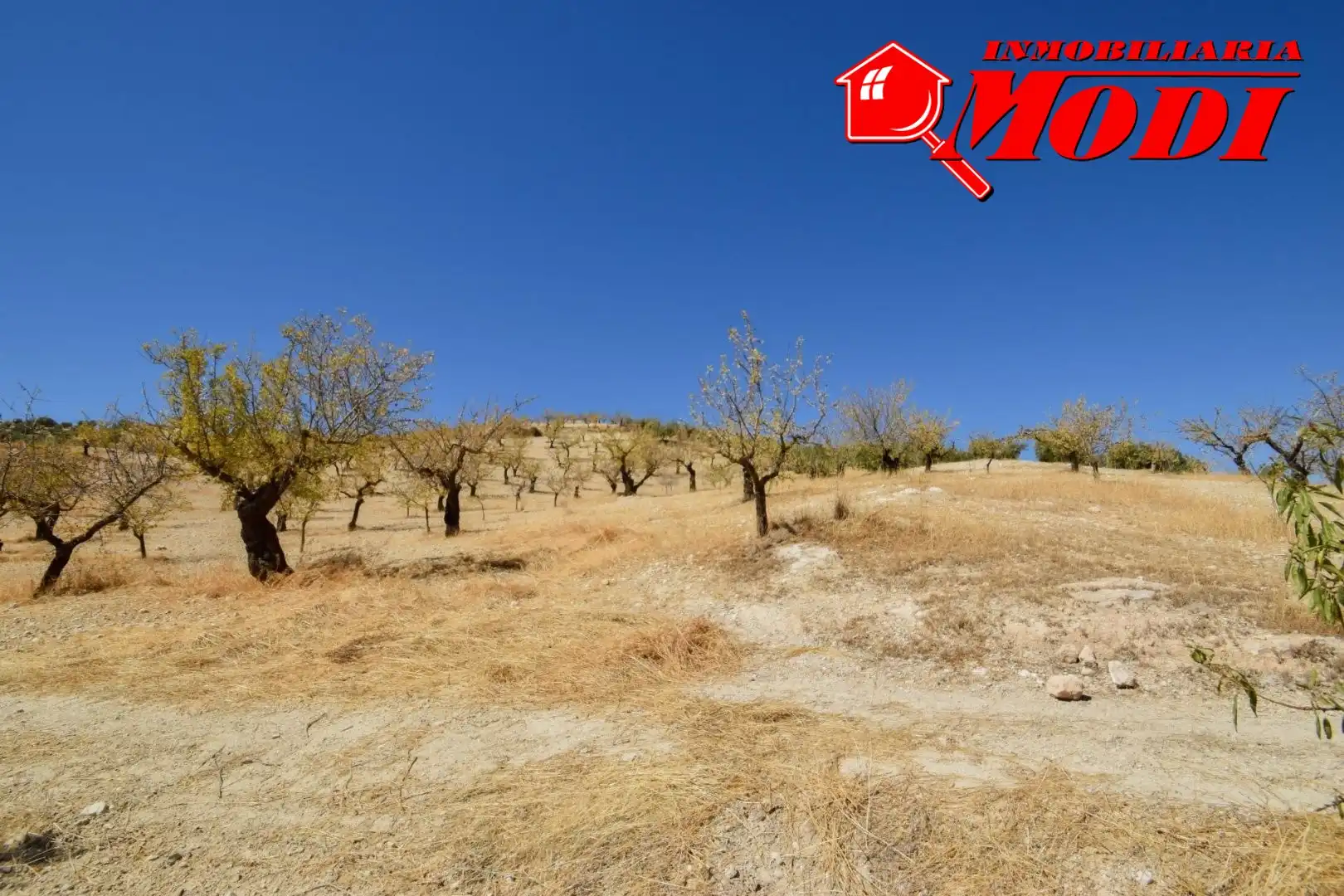 Finca rústica en venda en Cacín amb Jardí privat