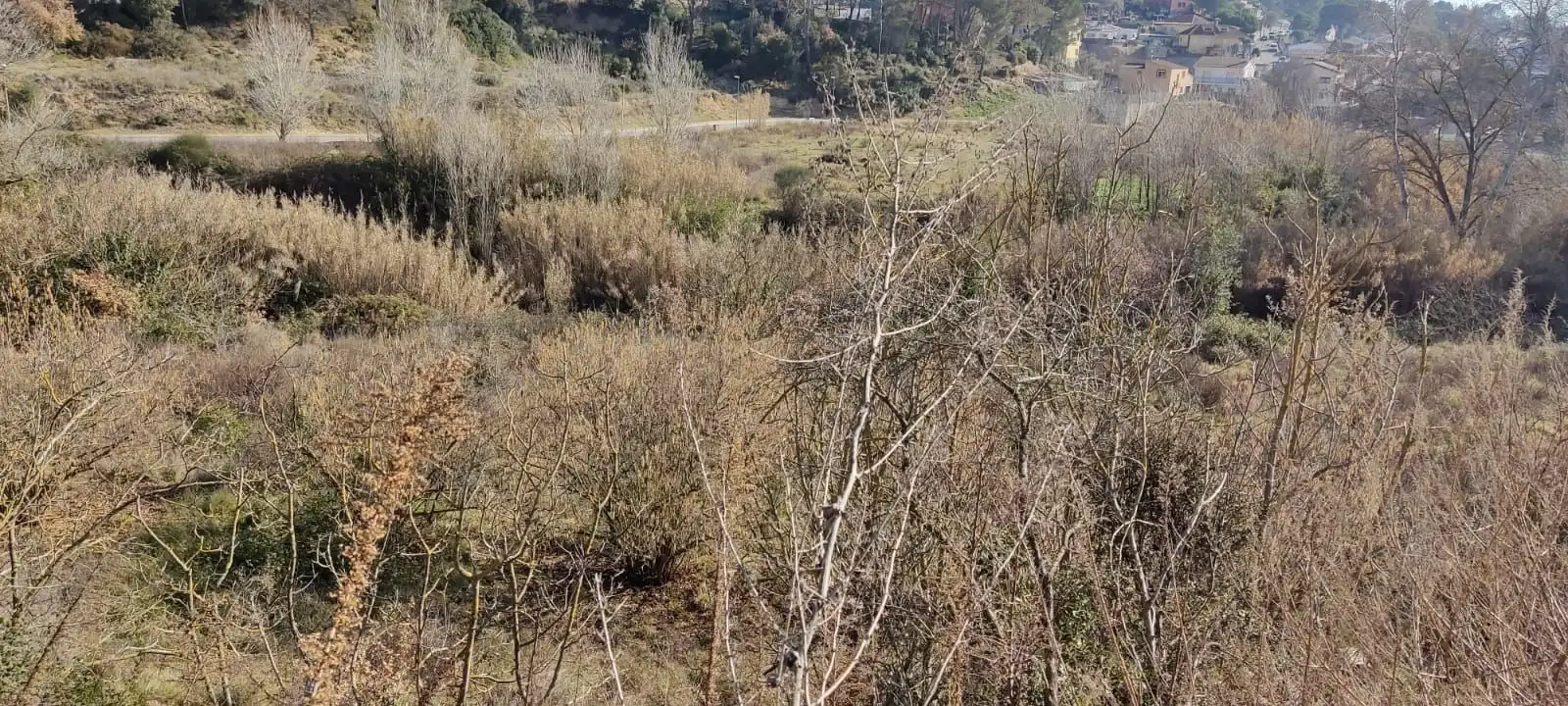 Terrain résidentiel à vendre à Sant Muç, imagen 9
