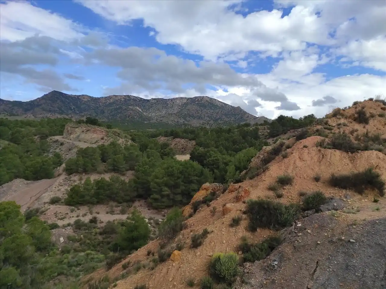 Terreno rustico in vendita a Lorca 0, imagen 11