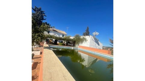 Cortijo en venta en Lucena