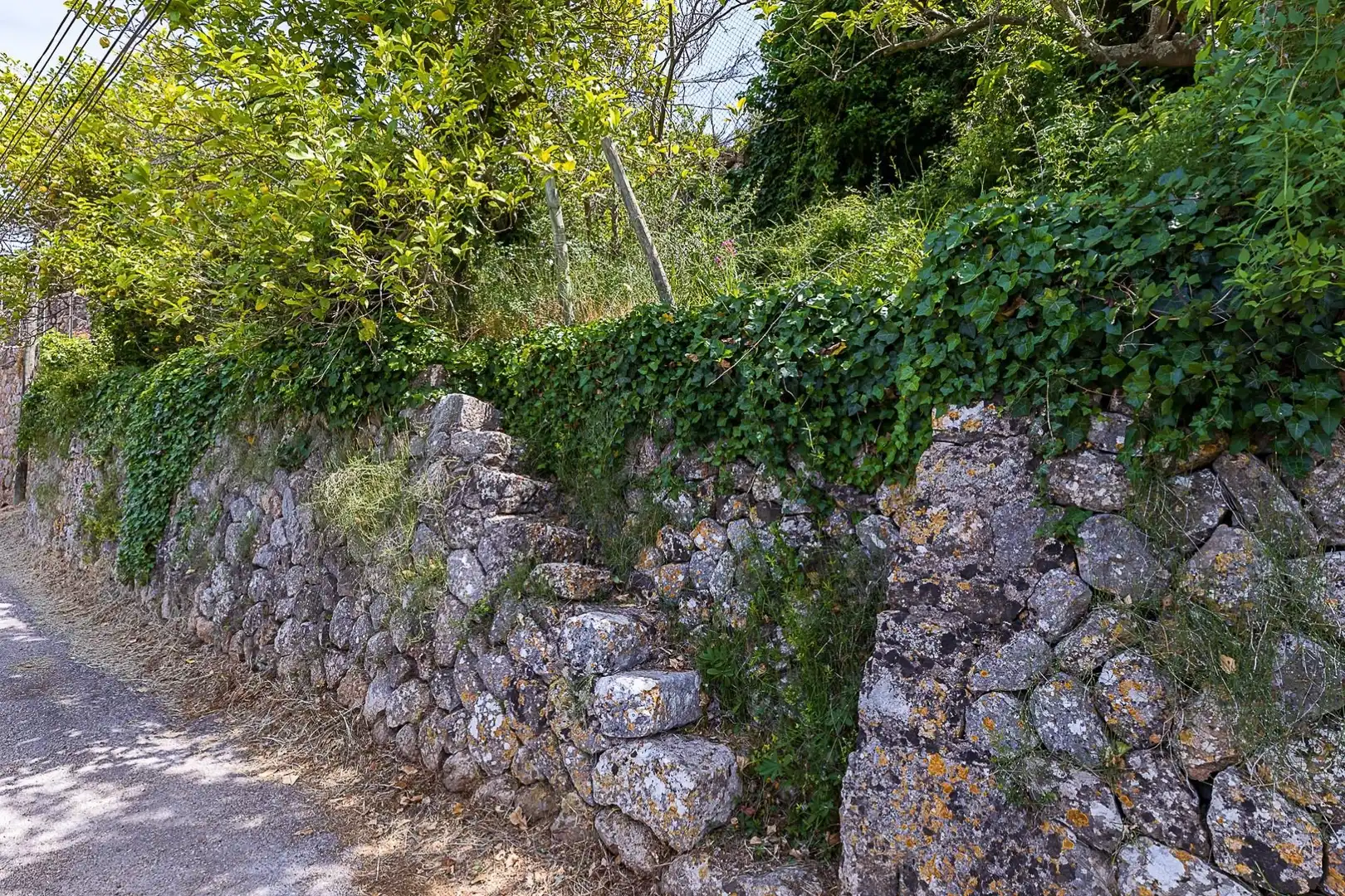 Finca rústica en venda en Sóller amb Terrassa