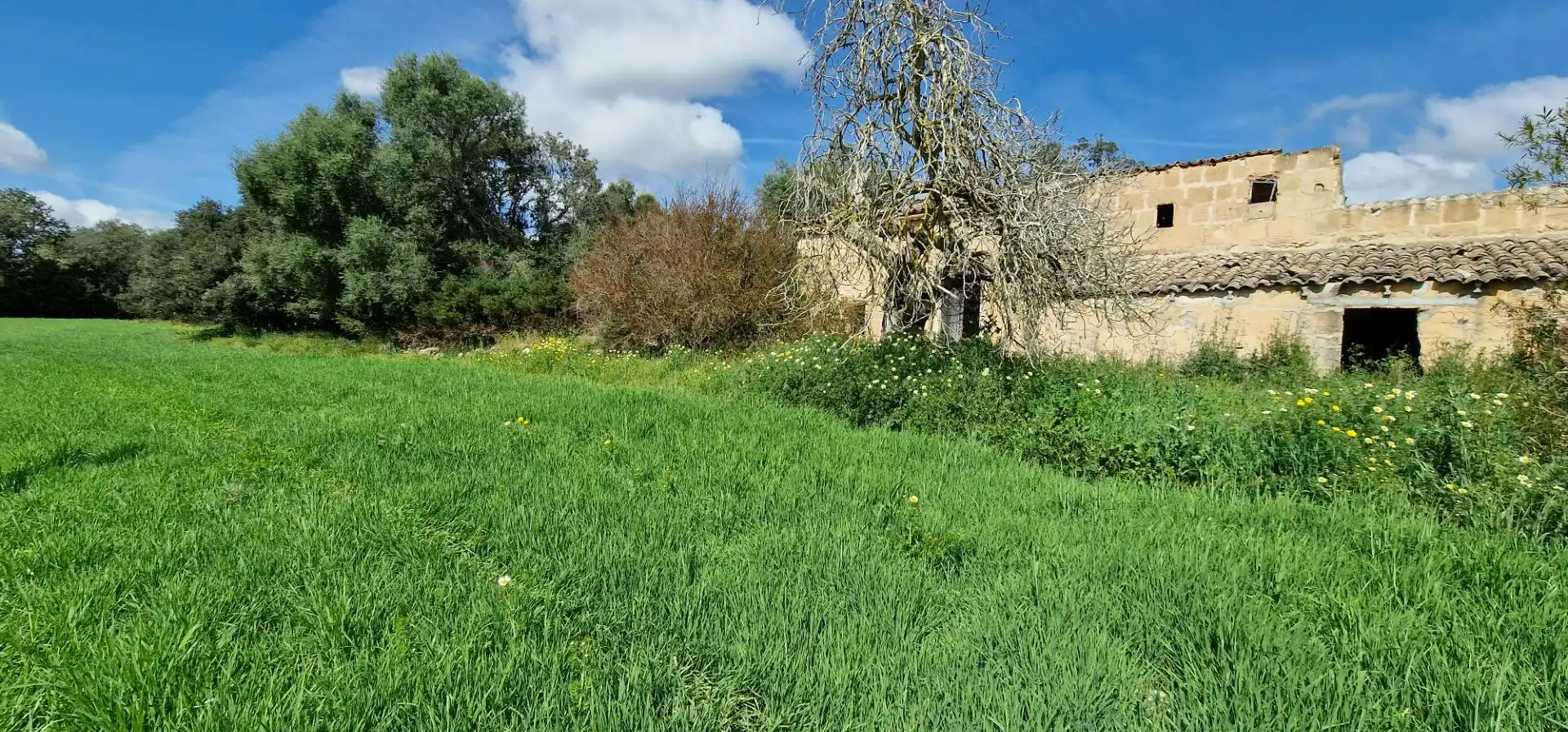 Country homes for sale in Manacor