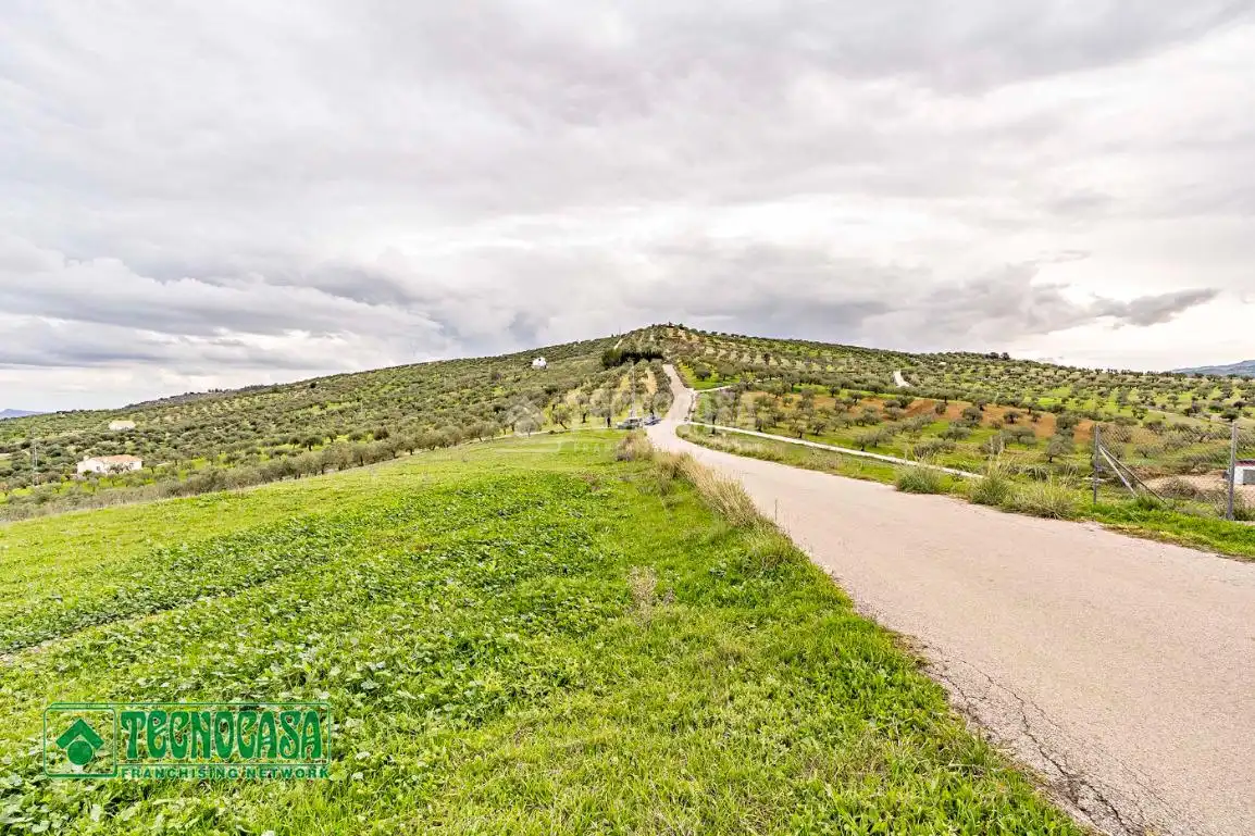 Rural land for sale in Alozaina, imagen 13