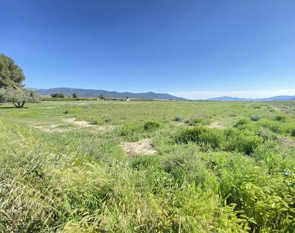 Terreno en Venta en Calle Cánovas del Castillo, 129 en Jumilla