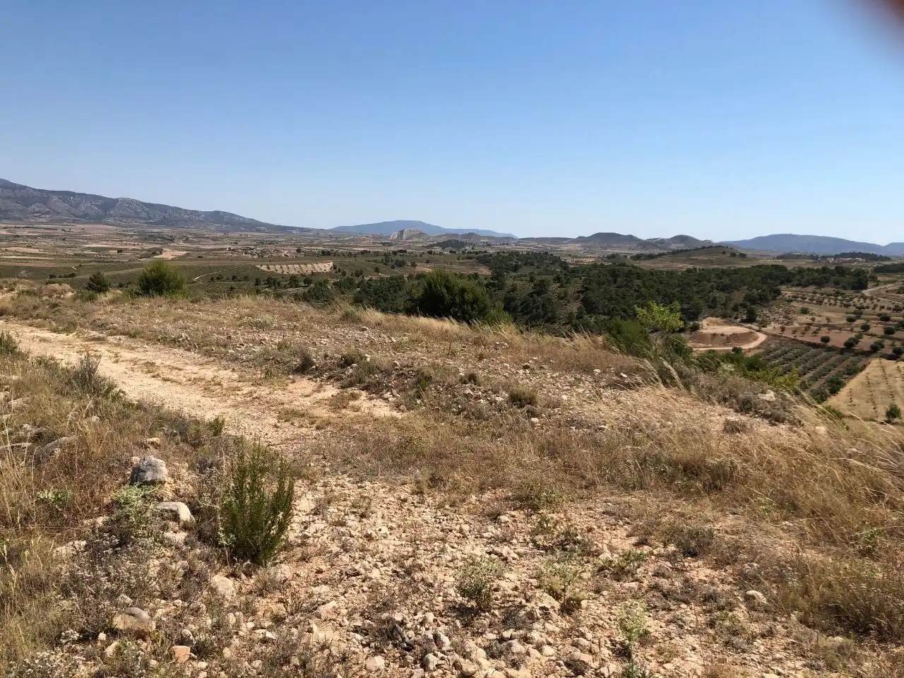 Lands and plots for sale in Abanilla, imagen 6