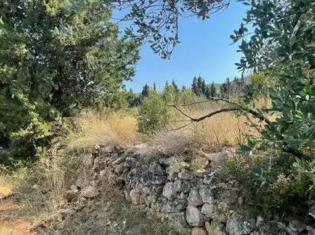 Terreno residencial en venta en Partida Rústica En Hoya De Buñol - El Tollo - Po, imagen 12