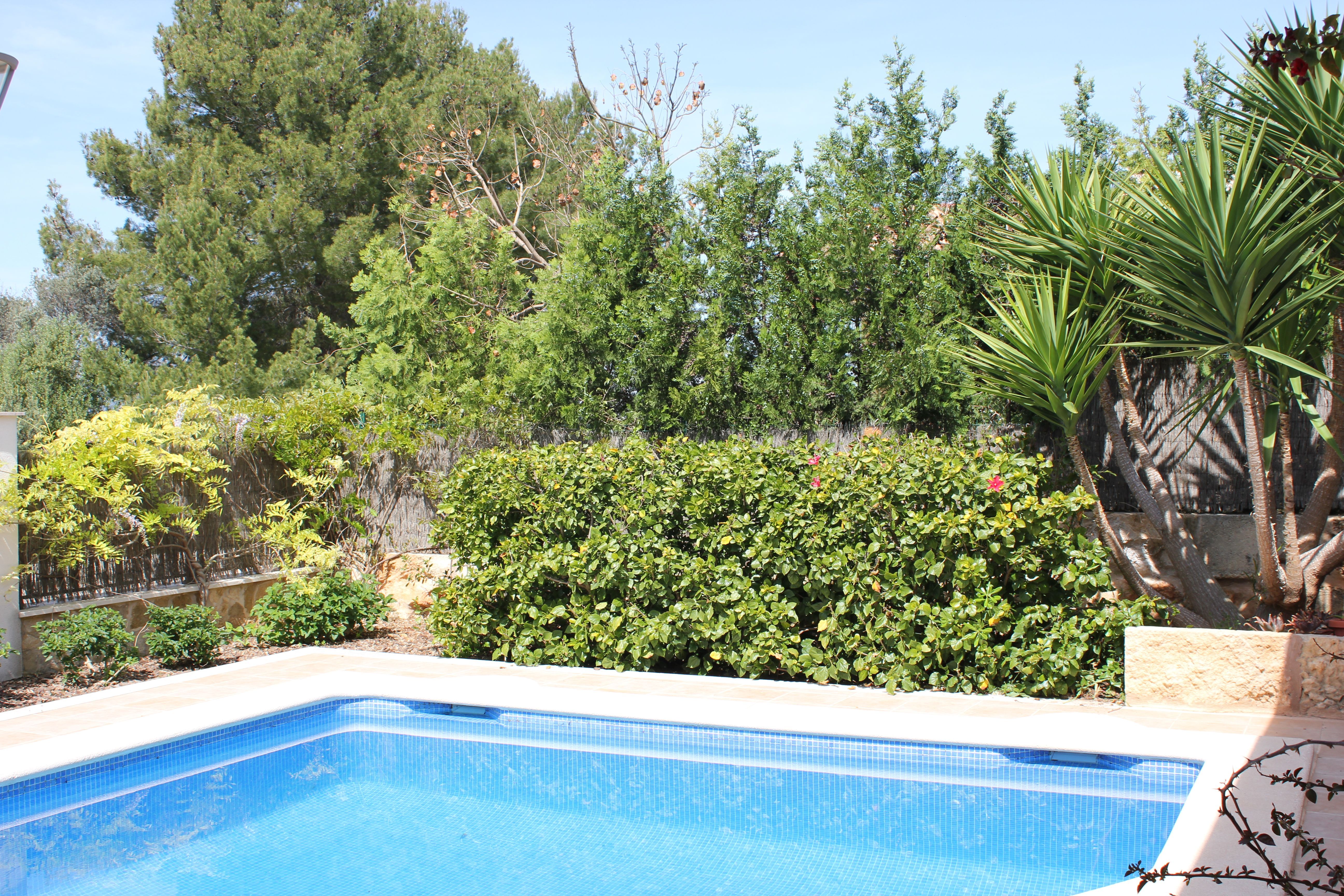Piscina de Casa o xalet de lloguer en Alcúdia amb Aire condicionat, Calefacció i Jardí privat