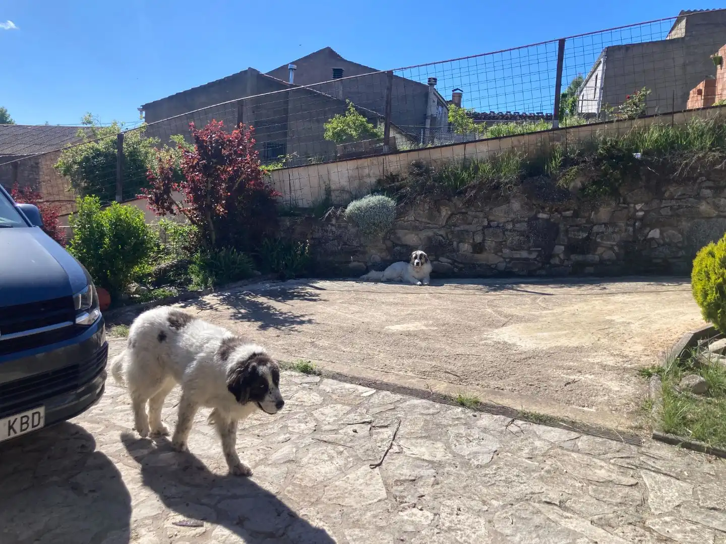 House with pool for sale in Raval 22, imagen 30