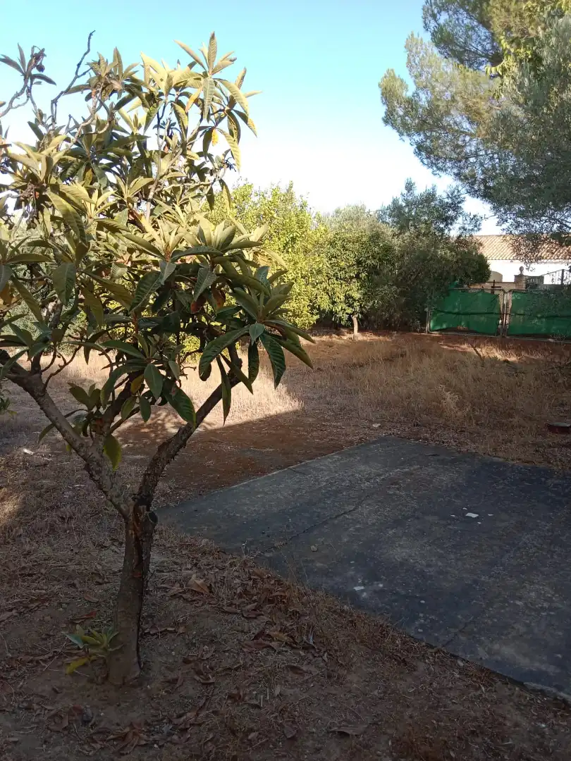 Land for sale in Avenida María Auxiliadora, 40, Torre Cruz - Los Molinos