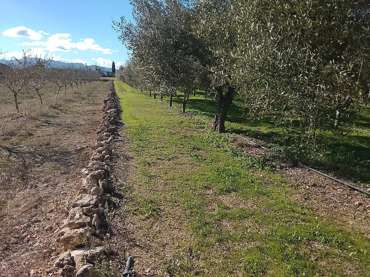 Terreno rustico in vendita a Polígono 7, imagen 11