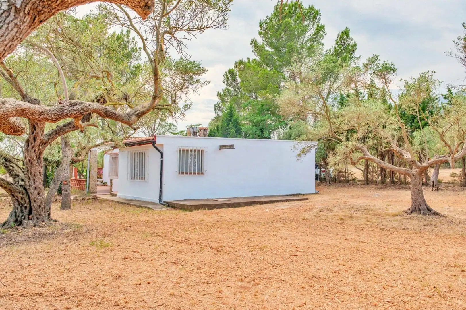 Vista exterior de Casa o xalet en venda en Tortosa amb Jardí privat