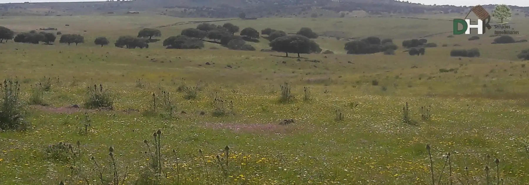 Terreni e lotti in vendita a Carretera de Sevilla - Los Montitos