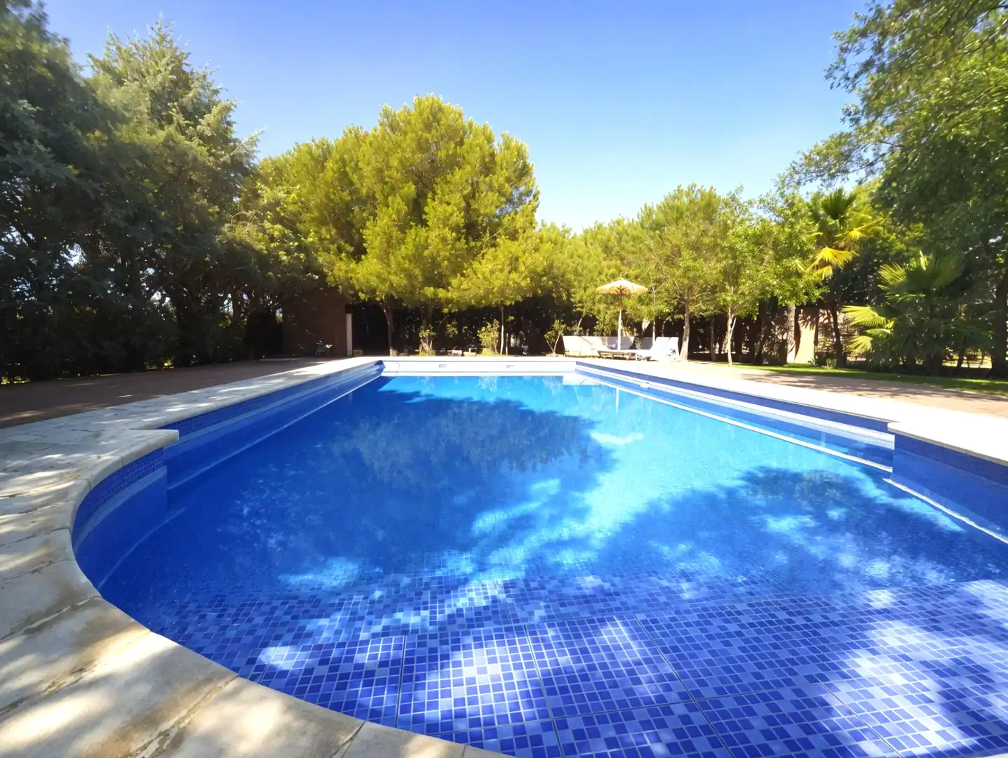 Piscina de Finca rústica en venda en Puebla de Sancho Pérez amb Aire condicionat, Jardí privat i Traster