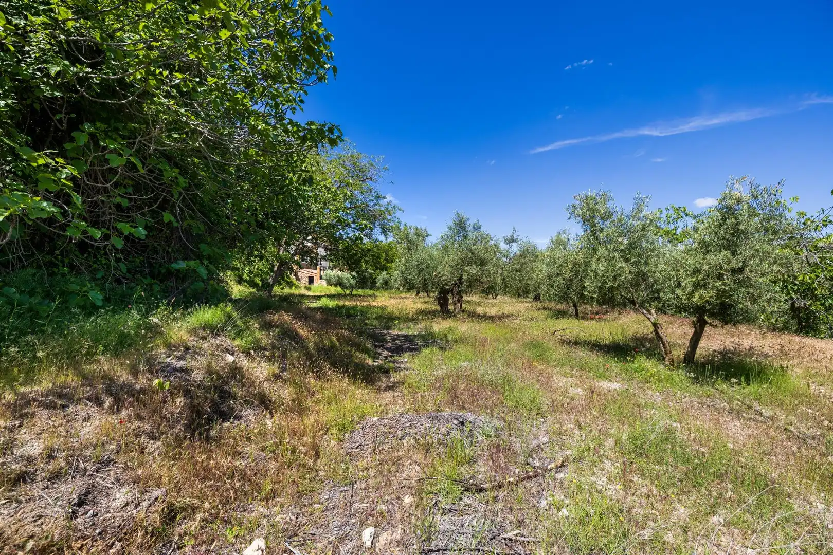 Maison rustique à vendre à La Peza, imagen 60