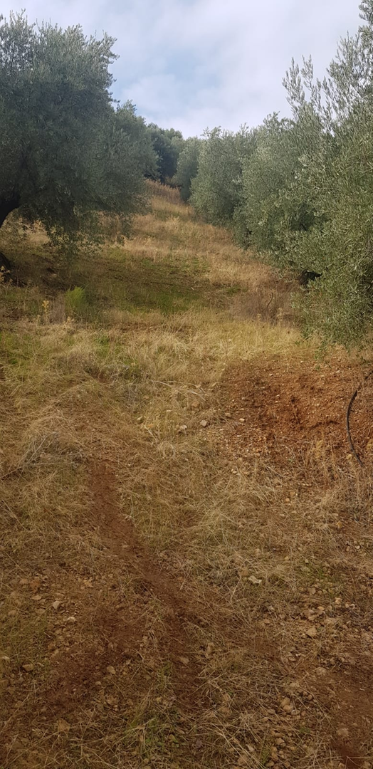 Residential for sale in Villacarrillo