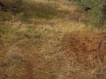 Terrenys i solars en venda a Villacarrillo