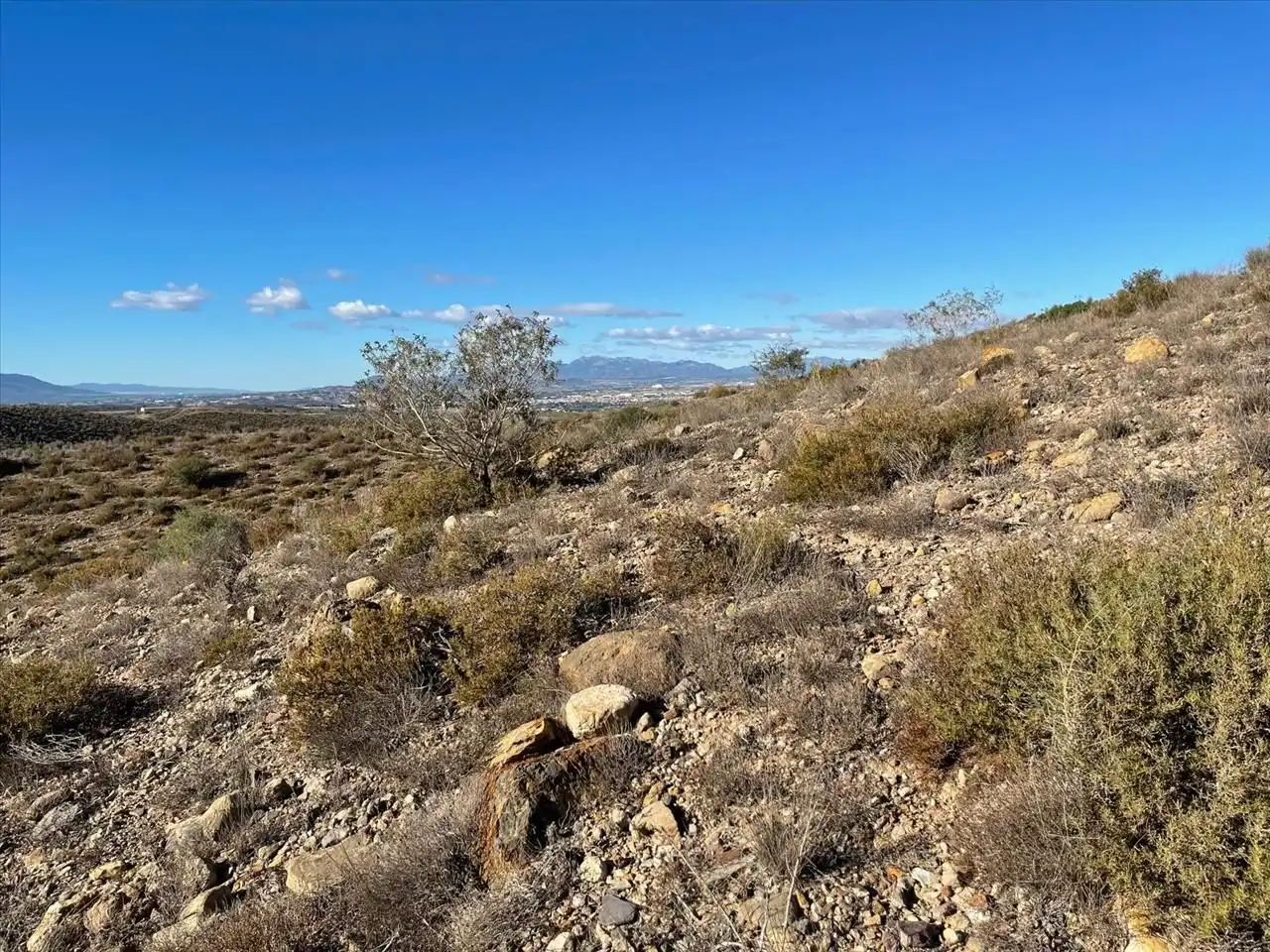 Terreny residencial en venda a SIETE FUENTES 35, imagen 4