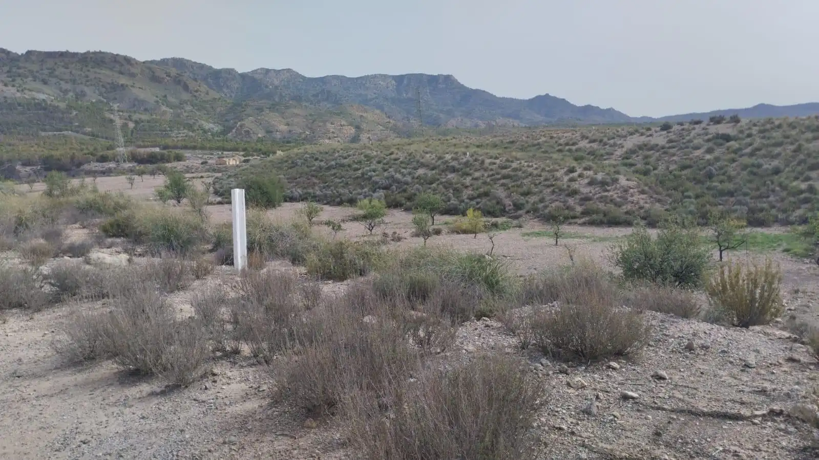 Terreno rustico in vendita a Pedanías Centro, imagen 2