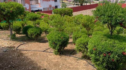 Foto 5 de Planta baja en venta en Costa Esuri, Ayamonte