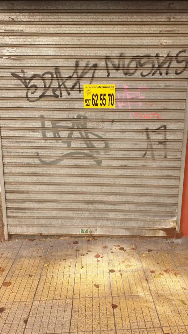 Business premises for sale in Casco Antiguo