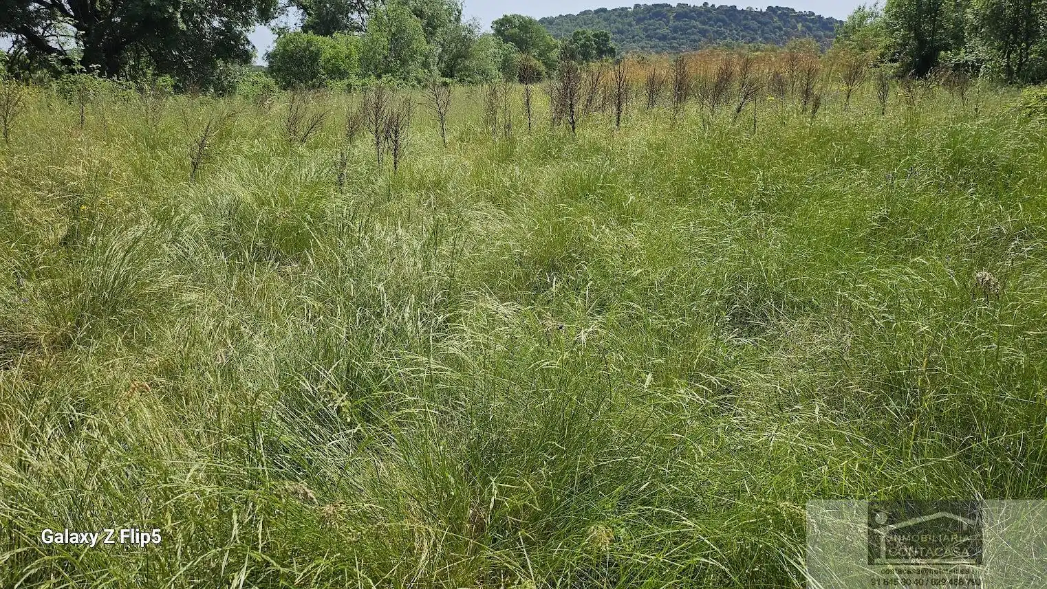 Finca rústica en venda en Miraflores de la Sierra