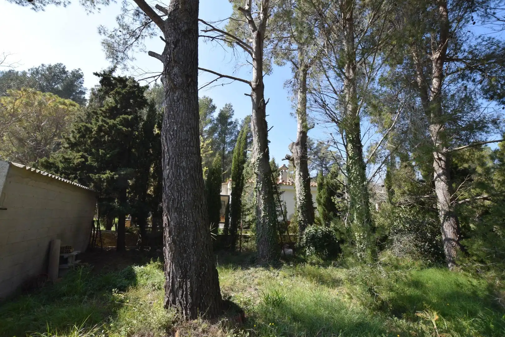 Casa o xalet en venda en Alfara de Carles amb Terrassa, Traster i Piscina
