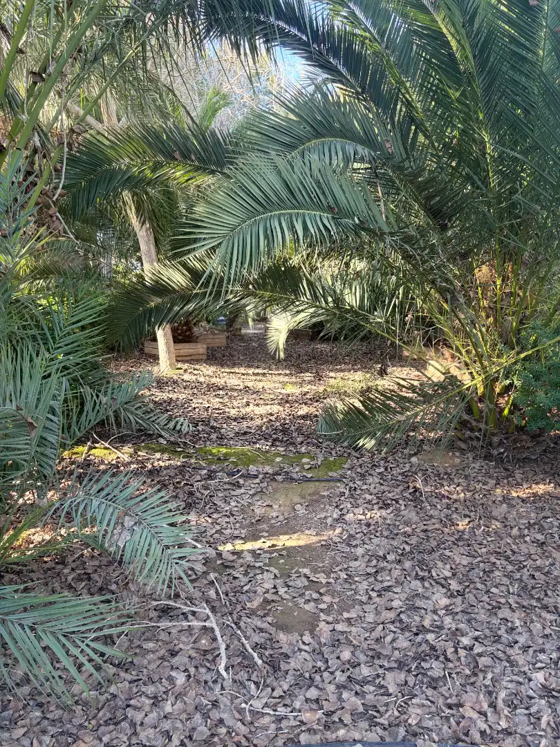 Lands and plots for sale in Abanilla, imagen 13